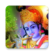 Programikonen: Shree Krishna All In One
