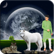 Programikonen: Moon Photo Frame and Phot…
