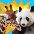 プログラムのアイコン：AnimalTower Battle