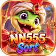 Programikonen: NN555Sort
