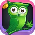 Ikon program: BudboApp