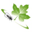 Programikonen: iMapInvasives Mobile