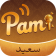 Pami icon