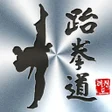 Programikonen: Taekwondo Poomsae Master