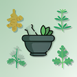 أيقونة البرنامج: The Medicinal plants and …