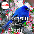 Иконка программы: German Good Morning  Good…