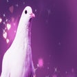 Ícone do programa: Hatoful Boyfriend