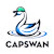 Ikon program: Capswan