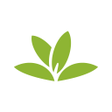 Programın simgesi: PlantNet Plant Identifica…