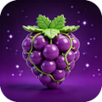 Icoon van programma: FruitLink