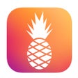 プログラムのアイコン：Hawaiian Bros
