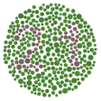 Programikonen: Daltonism Test