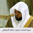 Programikonen: سورة الصافات بصوت ماهر ال…
