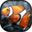プログラムのアイコン：Fish Aquarium Live Wallpa…
