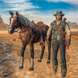 程序图标：West Cowboy Horse Riding …