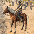 Icoon van programma: West Cowboy Horse Riding …