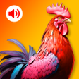 Icoon van programma: Animal Ringtones