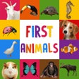 أيقونة البرنامج: First Words for Baby: Ani…