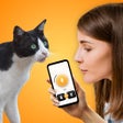 Icon of program: Cat Translator