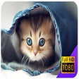 Icon of program: Cute Cat Wallpapers and N…