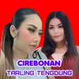 Programın simgesi: 300Tarling Tengdung Cireb…