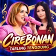 프로그램 아이콘: 300Tarling Tengdung Cireb…