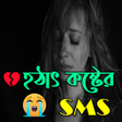 プログラムのアイコン：হঠৎ কষটর sms