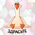 Русские фразы стикеры WAStick icon