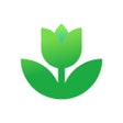 Programikonen: Plant App - Plant Identif…