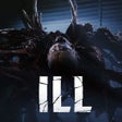 Symbol des Programms: Ill