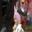 Icon of program: Simple Bunny Ears