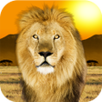 Icon of program: Popar Safari
