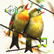 Programikonen: Birds Sounds  Ringtones