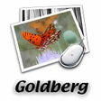 Icono de programa: Goldberg