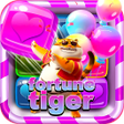 프로그램 아이콘: Tiger Game