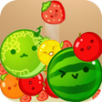 プログラムのアイコン：スイカゲーム