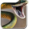 Programikonen: Snake Live Wallpaper PRO …