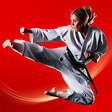 Programikonen: Video Training Technical …