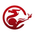 程序图标：Kirin VPN