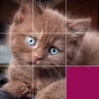 プログラムのアイコン：Picture Puzzles Brain Gam…