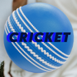 プログラムのアイコン：Cricket Lite