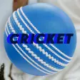 Cricket Lite