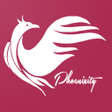 程序图标：Phoenixity