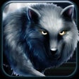 程序图标：The Wolf Running Among Wo…