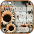 Icon of program: Retro Sunflower Theme