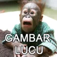 Ícone do programa: Gambar Lucu