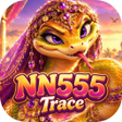 Programikonen: NN555Trace