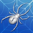 Programın simgesi: Spider Solitaire