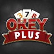 Programın simgesi: Okey Plus