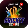 CricScore Live IPL Score